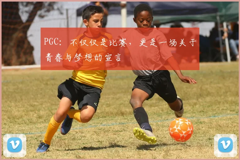 PGC:不仅仅是比赛,更是一场关于青春与梦想的宣言